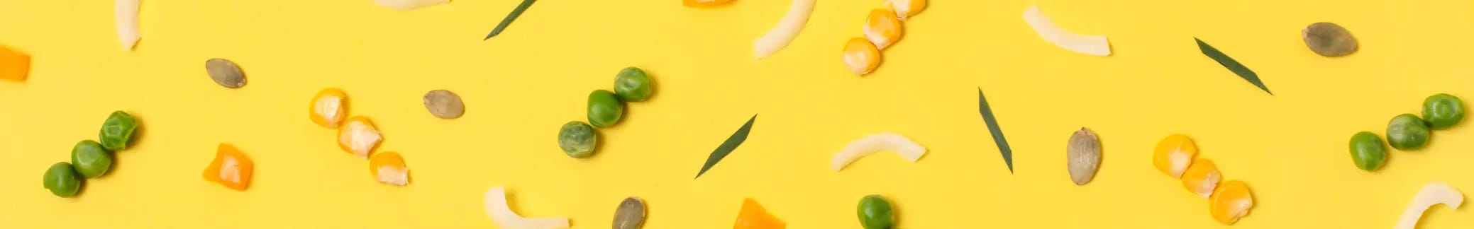 undefined placeholder